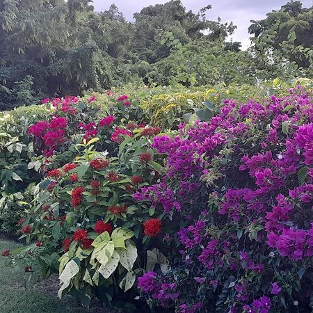 Appartamento Spectacular Ocean View Retreat Saint James Esterno foto