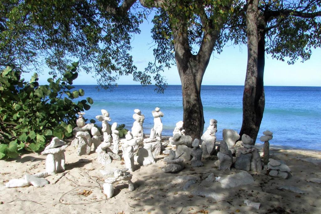 Appartamento Spectacular Ocean View Retreat Saint James Esterno foto