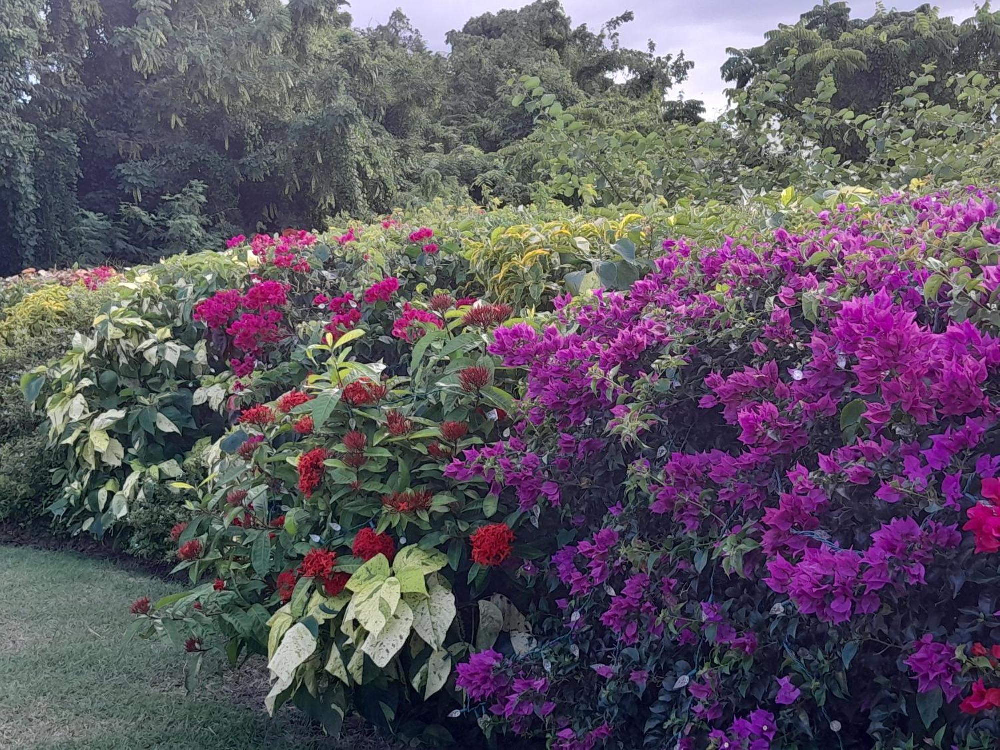 Appartamento Spectacular Ocean View Retreat Saint James Esterno foto